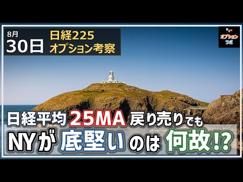 【日経225オプション考察】8/30 日経平均戻り売りでもNYが底堅いのは何故？