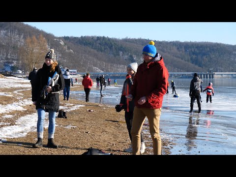 Video: Liečivé Vlastnosti Brusnice. Fotka Z Brusníc