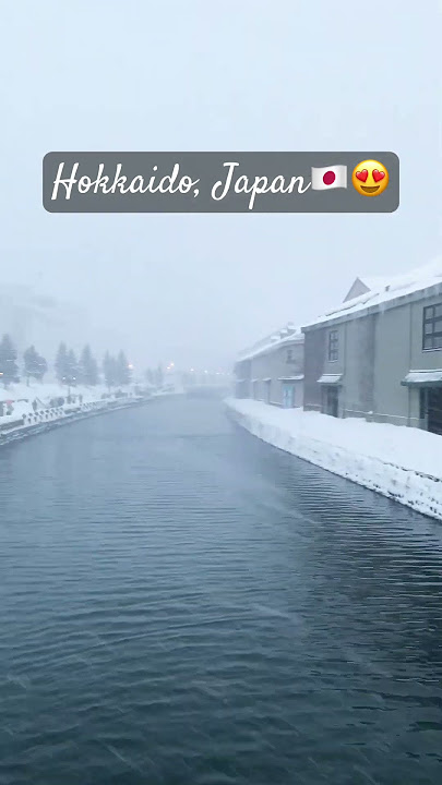 Winter in Japan be like😍🇯🇵❤️ #japan #winterspecial #winter #snow #snowfall #japantravel #hokkaido