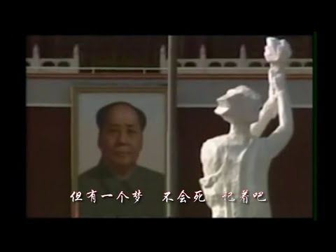 自由花—六四30周年（00后学生纪念制作）