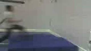 First ever wall flip
