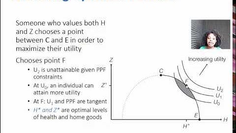 Week 2 Video 3: Grossman- Optimizing H and Z