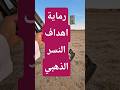 رماية اهداف ذخيرة النسر الذهبي خرازة ساكتون نارية Golden Eagle 22lr 