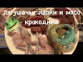 Лягушачьи лапки в Китайском ресторане