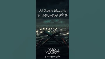 سورة التوبة | At-Tawbah | آية 51 | الشيخ وديع اليمني