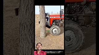 massey 241 di tractor ke agle pahiya se bottle ko fodte huye #farming #massey #tractor #viralvideo
