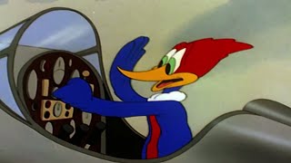 Woody Woodpecker classic | Ace in the Hole | Woody Woodpecker Full Episode | Videos for Kids