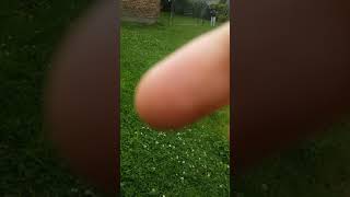 Granie W Piłkę Co Się Stało O Oooooooooooooooi