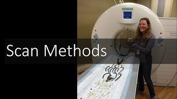 3D Scan Methods for Fossils | Introduction to Digital Preparation Video 2