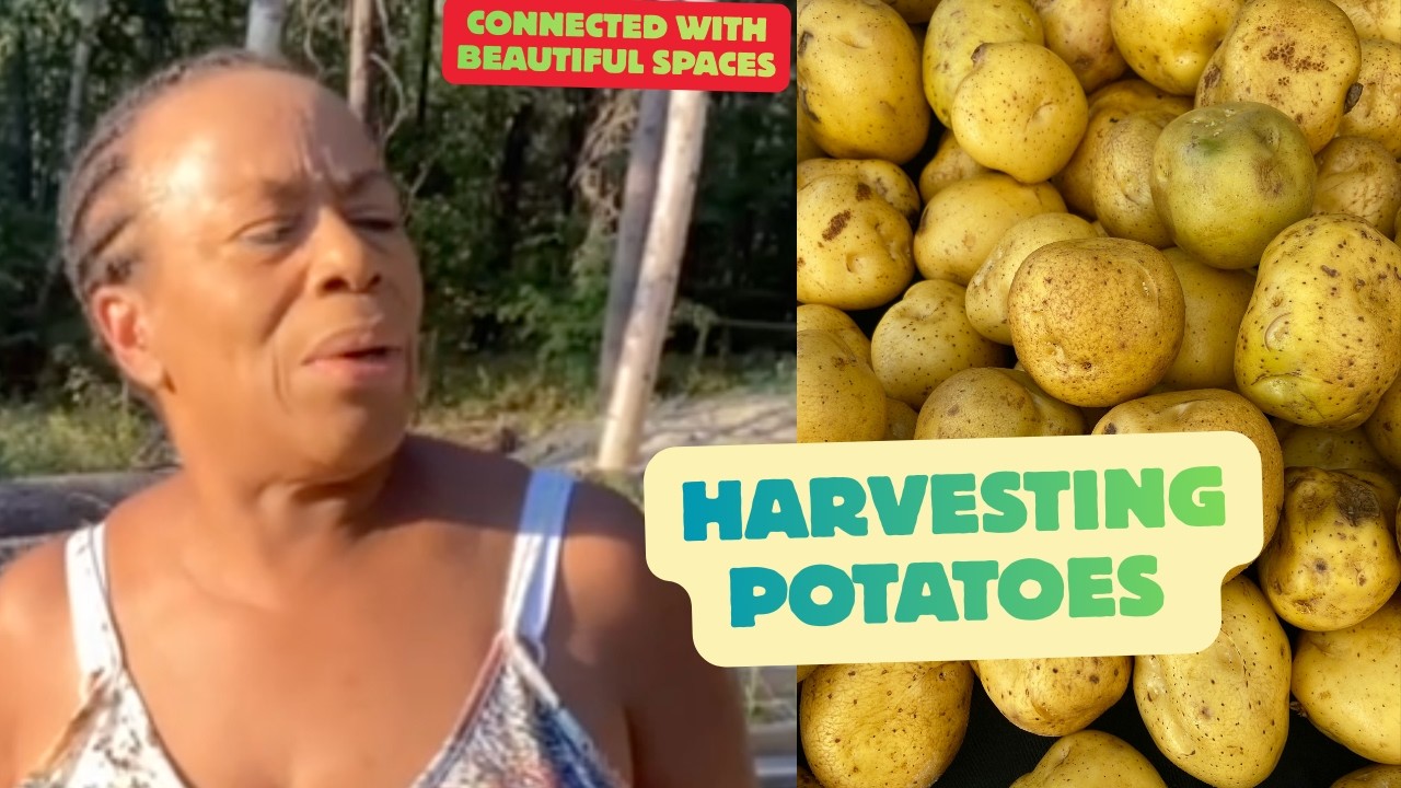 Harvesting Potatoes -  Black Women Creating Beautiful Spaces
