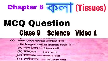 class 9 science chapter 6 mcq //science mcq chapter 6 of class 9// mcq question class 9 science//V1