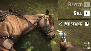 All Your RDR2 Pain in One Video Resimi