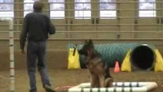 Rich and Nicoh's first Agility Trial UKC AG2 