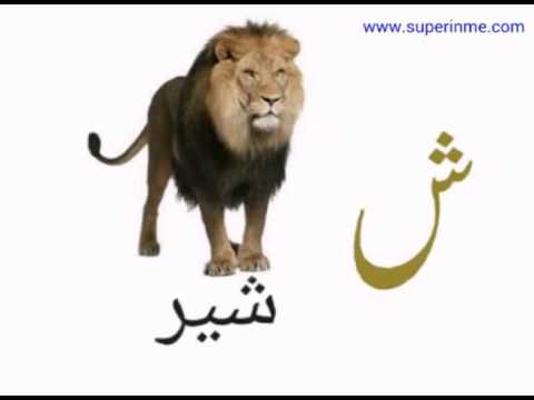 urdu phonics song with words learn urdu alphabets and words youtube