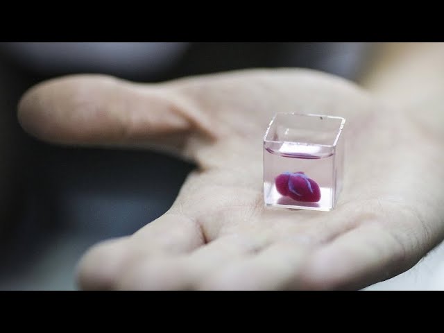 pflanzstäbe glasfiber Hochwertige Pflanzstäbe aus GFK für Ihre Pflanzen – Fibrolux