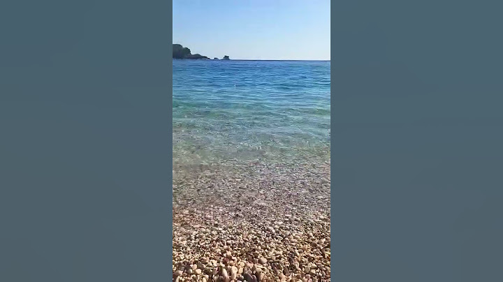 U BUDVI je čisto i lagano🛟⛱️🐬🐟 #budva #crnagora #montenegro