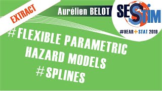 Frailty models - Flexible Parametric  Mixed-effect model - Part I