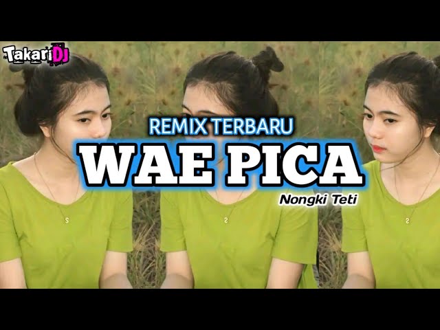 DJ REMIX_ WAE PICA MELEDAK_TERBARU@TakariDj class=