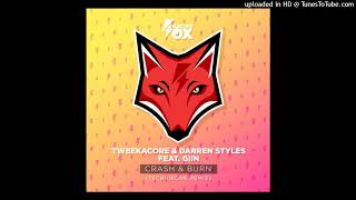 Darren Styles & Tweekacore feat. Giin - Crash & Burn (Technikore Extended Remix)