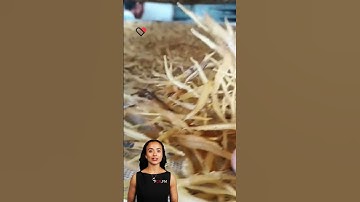 #fcnfm Transforming Freshness into Durability: The Power of Drying Machinery