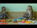 Baby Luna Calling Tiny Nina Play Toys With Her But Monkey Kako Refuse Tiny Nina Go