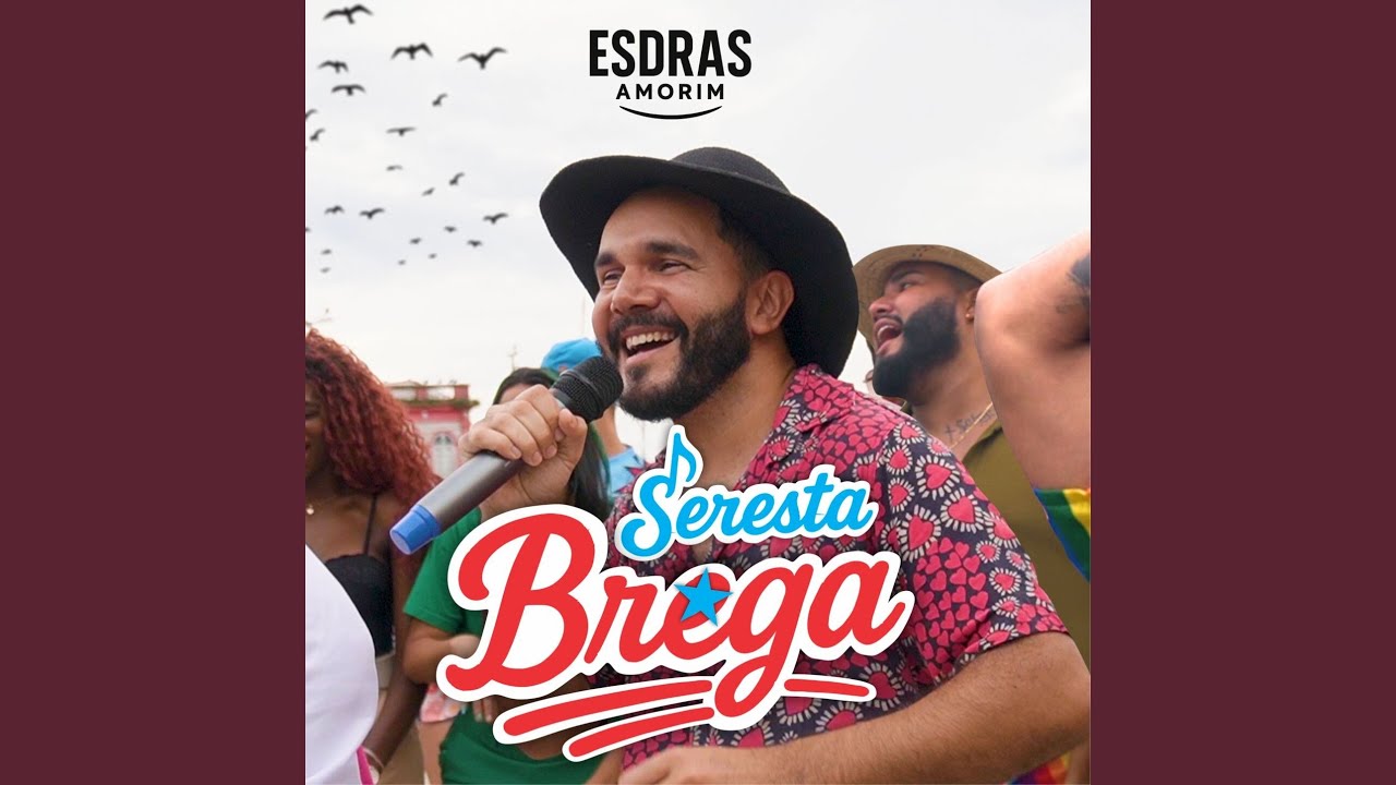 Beija-flor/ Volta Meu Amor/ Imagem Do Prazer/ Nada É Para Sempre/ Don't Cry/ Você Me Perdeu