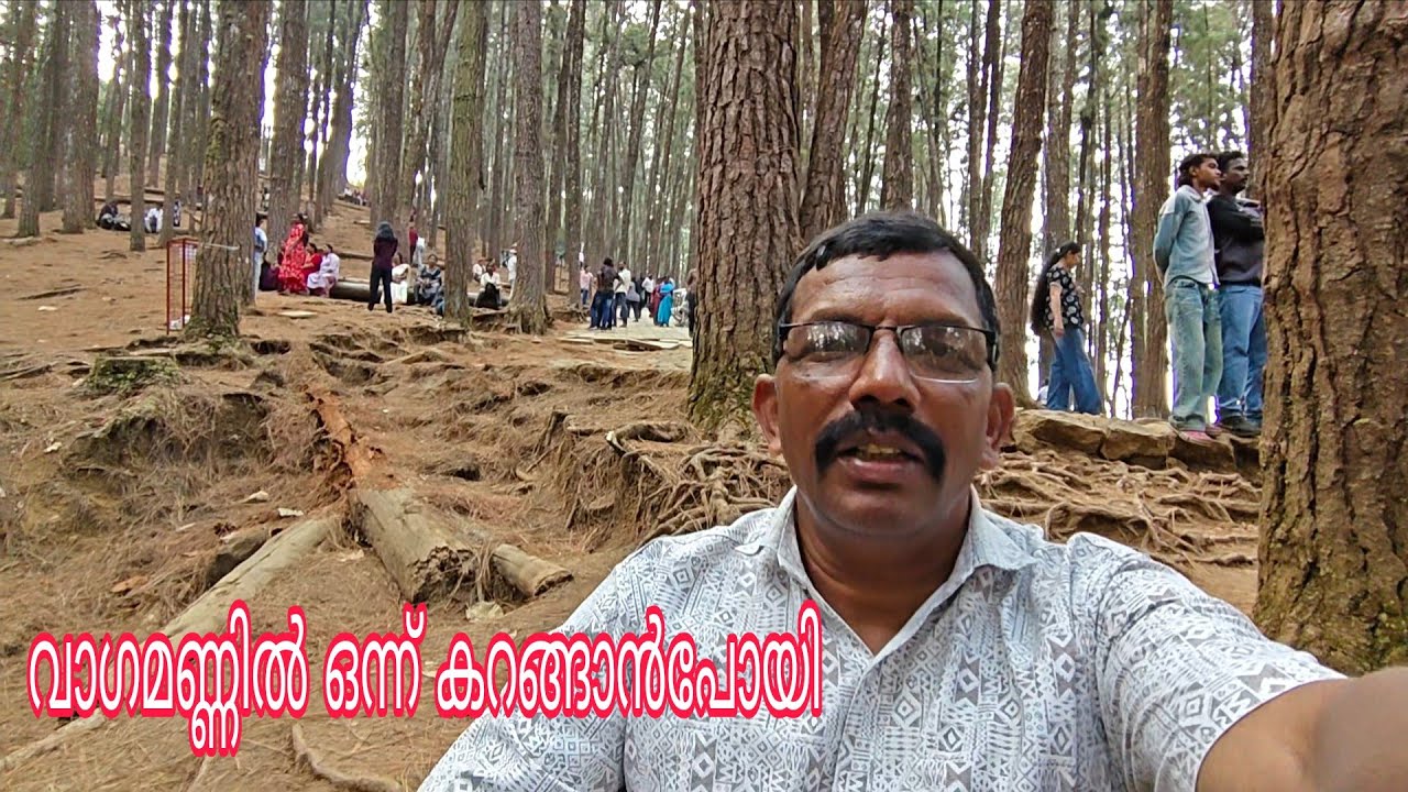 Vinoidukkivlogs VAGAMON PAINEVALLY വാഗമൺ കാഴ്ചകൾ 