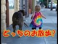 心が癒される！　子供と動物の微笑ましい写真