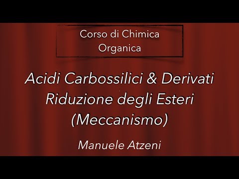 Video: H2 ni può ridurre gli esteri?