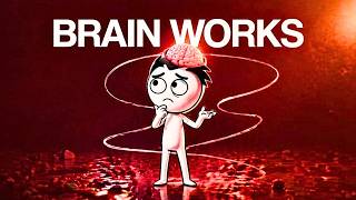 Every Part of the Brain Explained In 8 Minutes