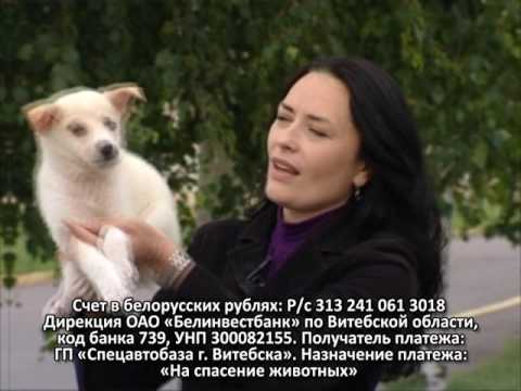 Витебский кукольный театр Лялька в Витебском приюте для бездомных животных