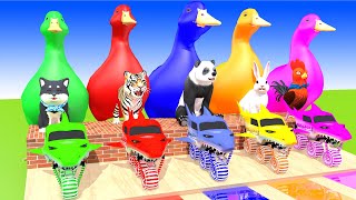 5 Giant Duck, Monkey, Piglet, chicken, dog, cat, bear, cow, Sheep, Transfiguration funny animal 2024