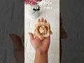 how to make tissue paper rose/ aesthetic dried rose #aestheticrose  #diyrose #flowermaking