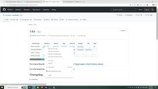 Felix that computer wizard - How to Install Rust Desk Remote Support (on Windows)