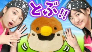 【クレーンゲーム】ブルブル跳ねる!! 「ことり隊」ぬいぐるみ。
