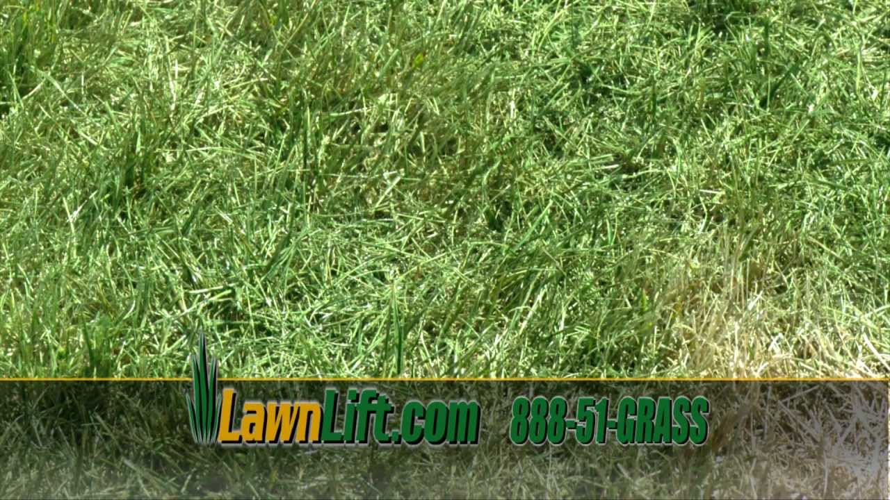 Grass Paint! - YouTube