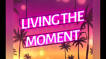DJ Crizla - Living The Moment (Single)