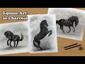 Equine art in charcoal  black horse drawings