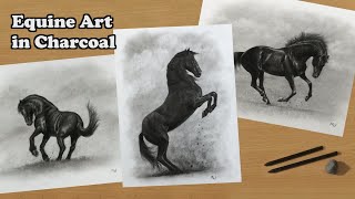 Equine Art in Charcoal  Black Horse Drawings