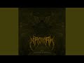 lyrics:Lirik Krowak - Inflammatory Brain Decay