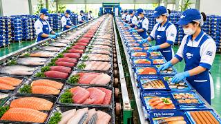Inside a Futuristic Fish Processing Factory — From Ocean to Supermarket