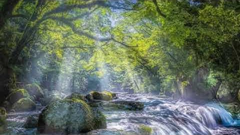 سورة نوح/تلاوة هادئة/القارئ اسلام صبحي