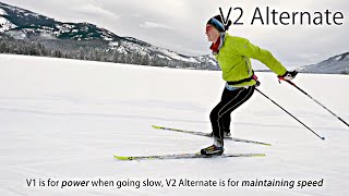 Basic Skate Ski Technique: V2 Alternate/Open Field