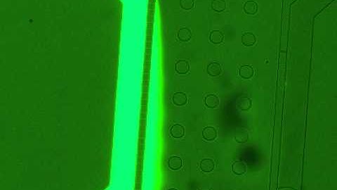 Diffusion based nanoporous microfluidic device for bacterial chemotaxis