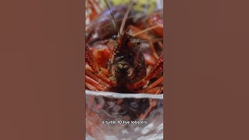 Here are the top things left behind in Ubers! #uber