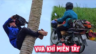 Vua Khỉ vượt 210km từ Tiền Giang lên Bình Phước chỉ để cưa 1 cây Dừa.