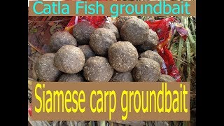 Siamese carp fish Groundbait.. Katla fish Groundbait..