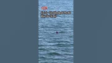 Cứu Sống Kịp Thời Người Phụ Nữ Nhảy Cầu Thị Nại