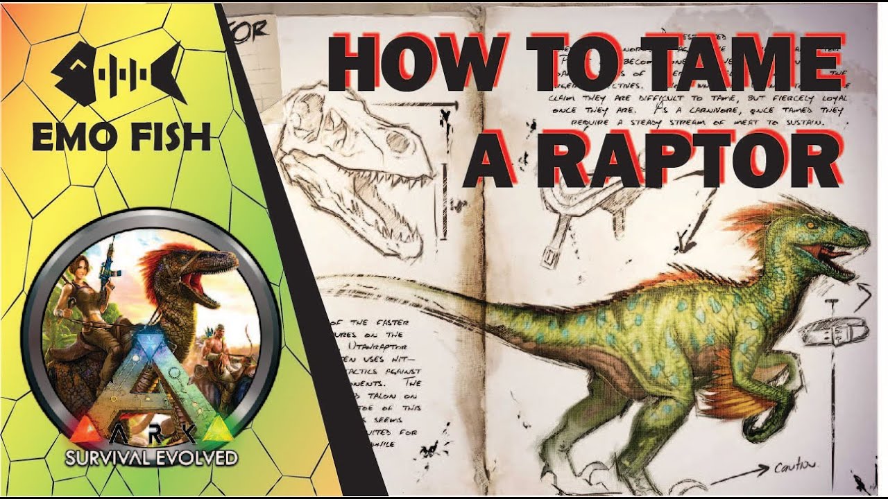 How to tame a Raptor - Ark Survival Evolved - YouTube