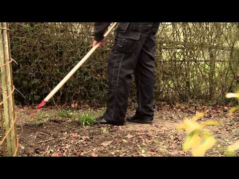 Video: Det bedste haveredskab er Fokins fladskærer. Anmeldelser og karakteristika